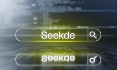 SeekDe: The Rising Platform for Freelancers and Clients in a Crowded Market