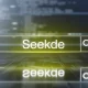 SeekDe: The Rising Platform for Freelancers and Clients in a Crowded Market
