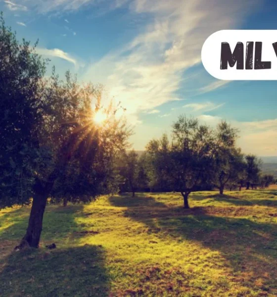 Unlocking the Secrets of Milyom: A Comprehensive Guide