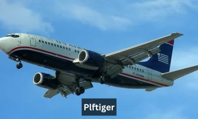 Plftiger: The Evolution of a Modern Tech Marvel