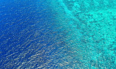 Primo Water: Complete Guide, Business Model, Pricing, and Consumer Benefits