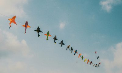 Kite Software: A Complete Guide to Features, Benefits, Pricing, and Calculations