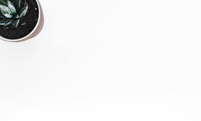 Deshoptec : Complete Guide, Review & FAQs