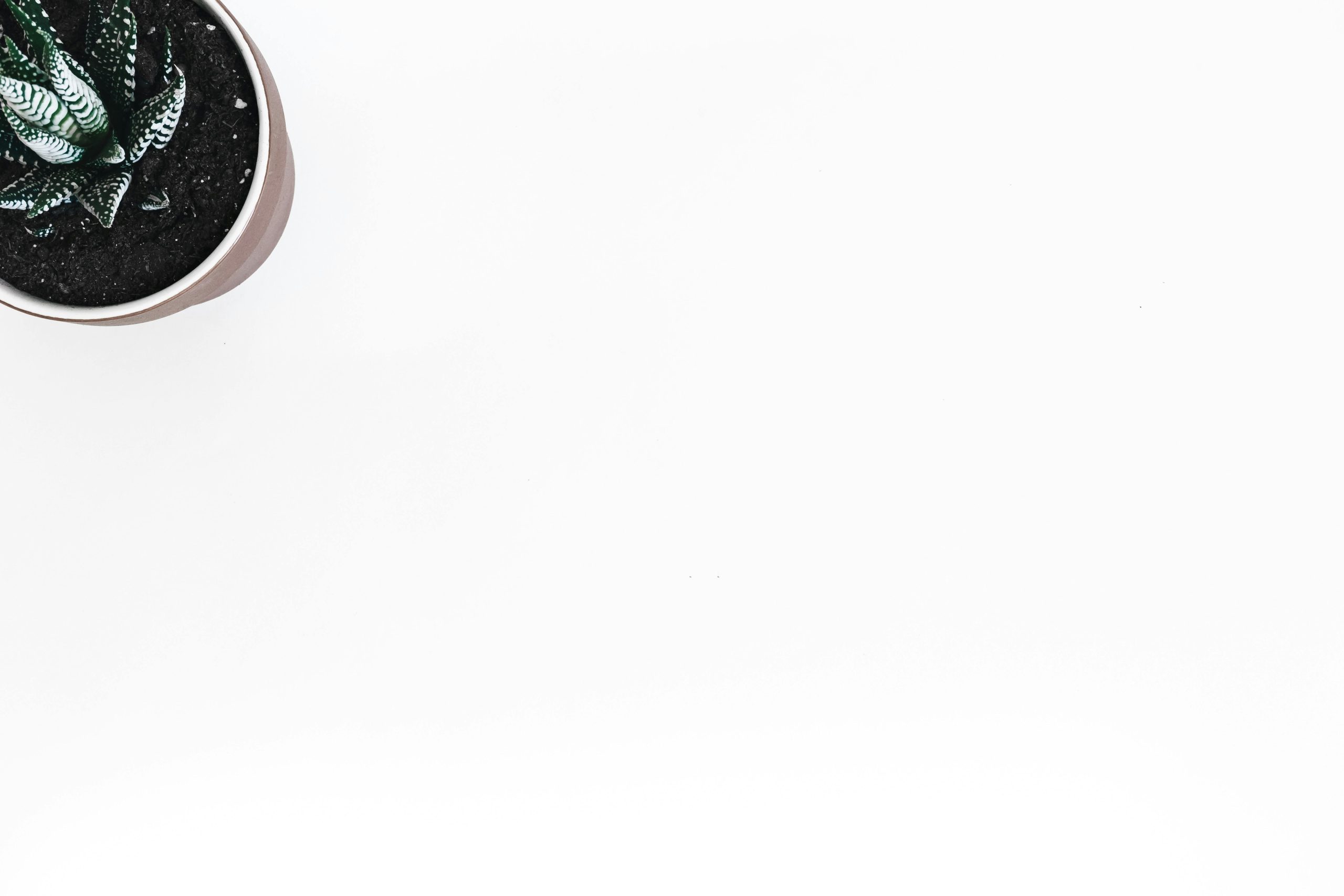 Deshoptec : Complete Guide, Review & FAQs