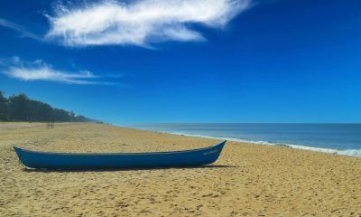 Microdisha: A Complete Guide with Features, Benefits, FAQs, and Calculations