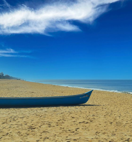 Microdisha: A Complete Guide with Features, Benefits, FAQs, and Calculations