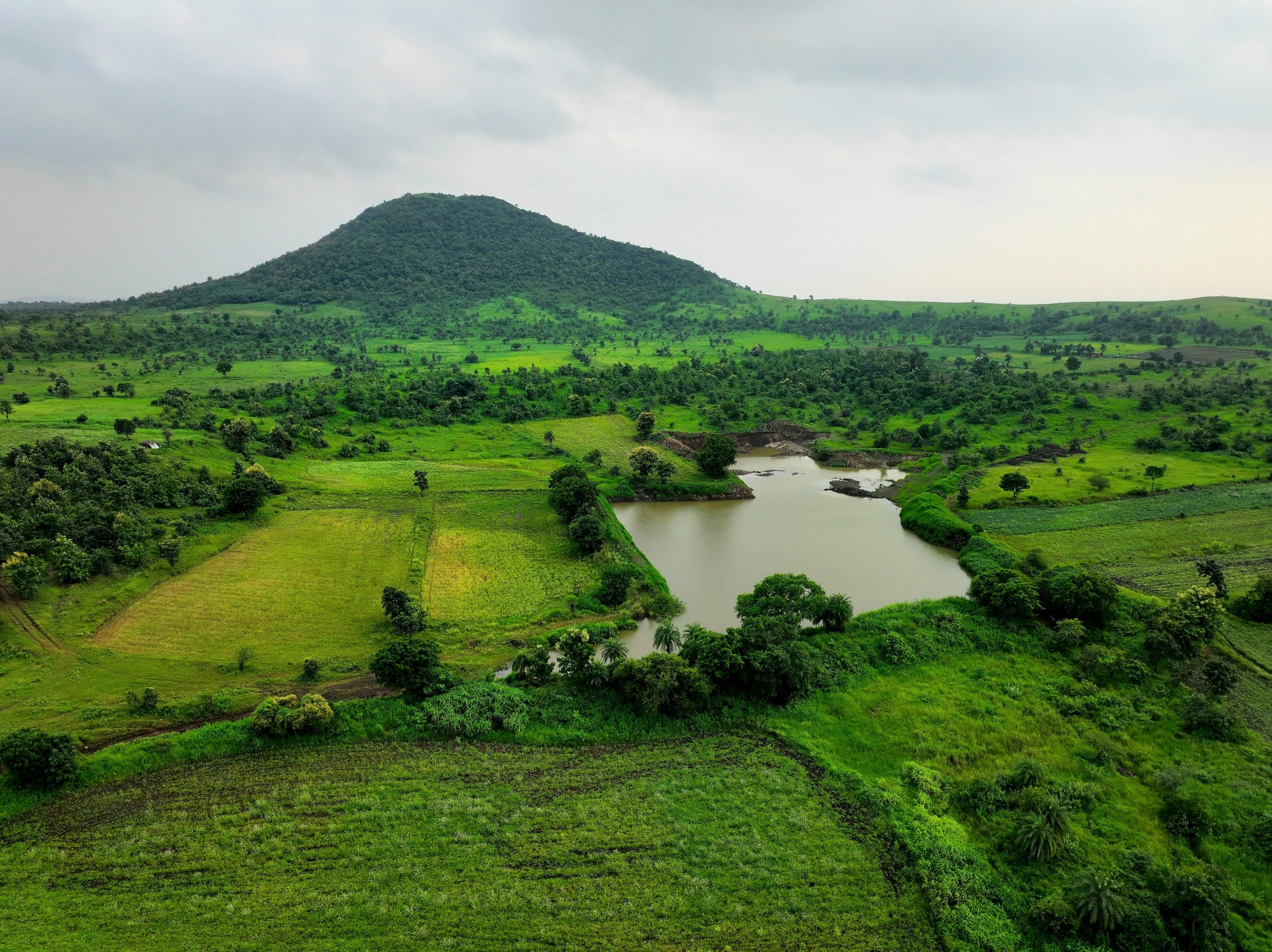 Aavmaal – Complete Guide, Meaning, Uses, FAQs, and Calculations 📘✨