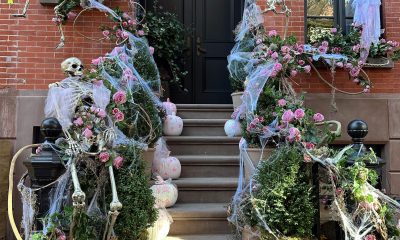 Elaine: Meaning, Origins, Popularity, and Modern Significance