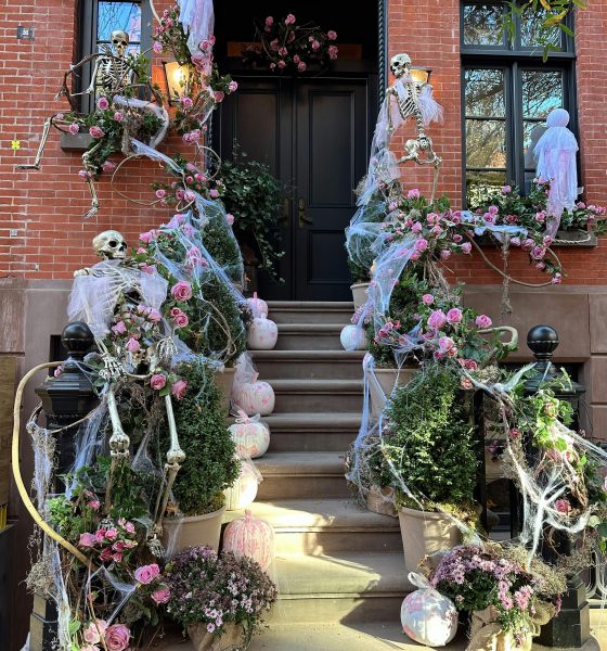 Elaine: Meaning, Origins, Popularity, and Modern Significance