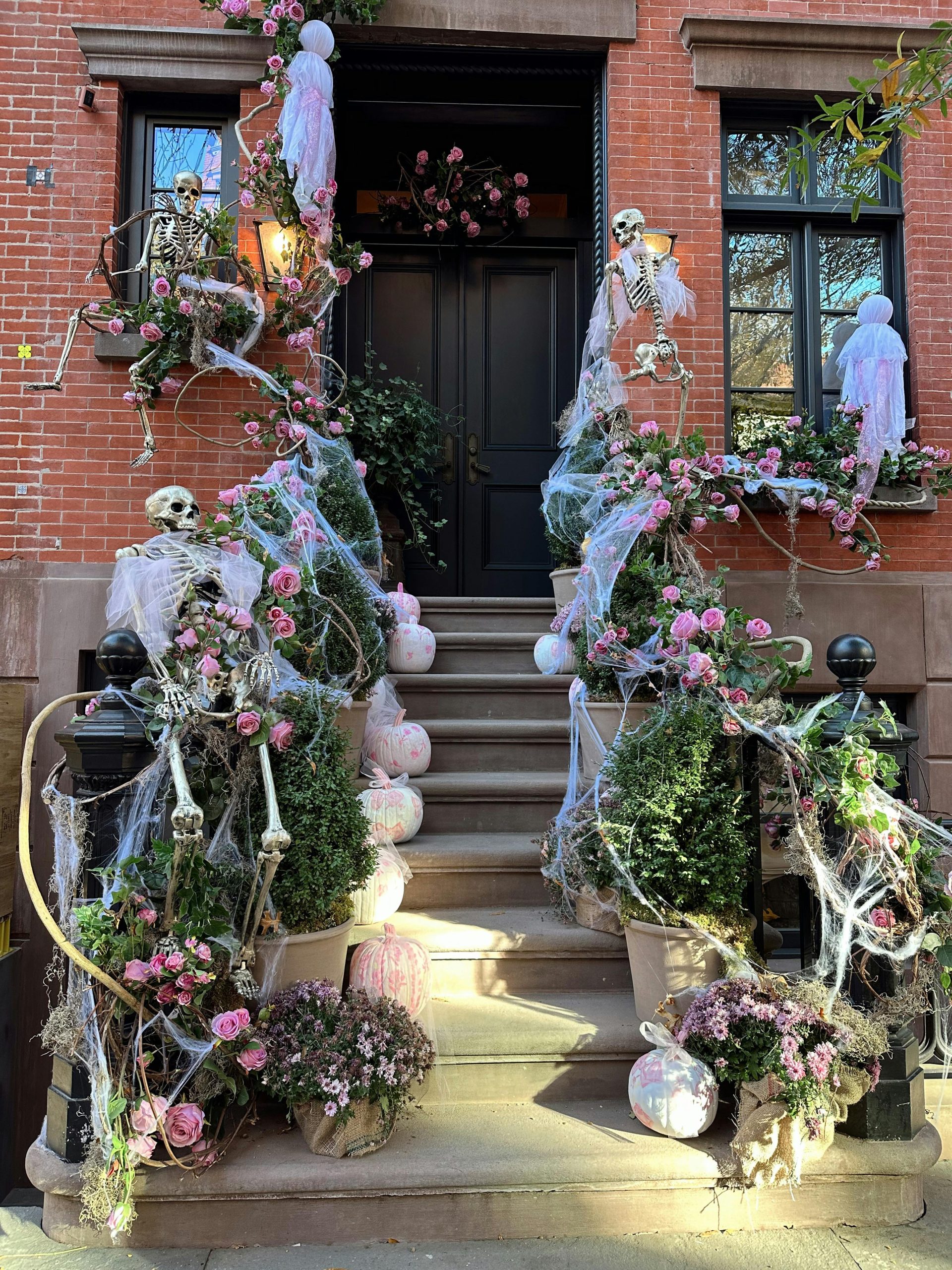 Elaine: Meaning, Origins, Popularity, and Modern Significance