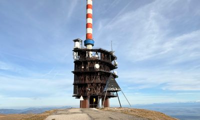 Uniacke: Meaning, Background, Uses, and Practical Insights