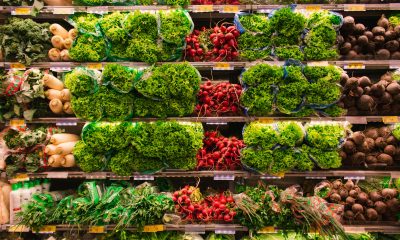 Publix: A Complete Guide to the Popular Supermarket Chain