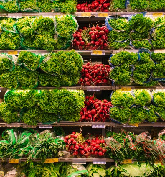 Publix: A Complete Guide to the Popular Supermarket Chain
