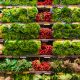 Publix: A Complete Guide to the Popular Supermarket Chain