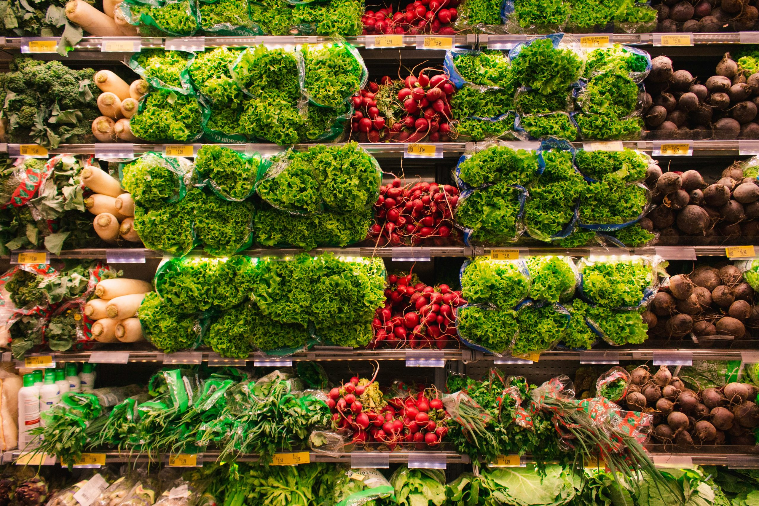Publix: A Complete Guide to the Popular Supermarket Chain