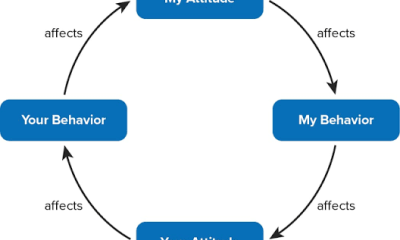 How the Betari Box Works: The Link Between Attitude and Behaviour